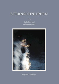 Sternschnuppen - Siegfried Grillmeyer - E-Book
