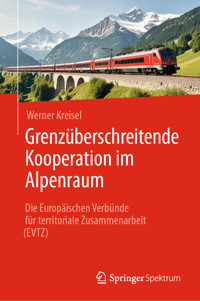 Grenzüberschreitende Kooperation im Alpenraum - Werner Kreisel - E-Book