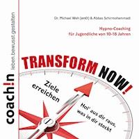 TRANSFORM NOW! - Dr. Michael Weh - Hörbuch
