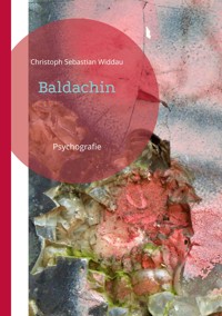 Baldachin - Christoph Sebastian Widdau - E-Book