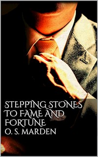 Stepping Stones to Fame and Fortune - Orison Swett Marden - E-Book