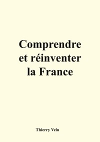 Comprendre et réinventer la France - Thierry Velu - E-Book