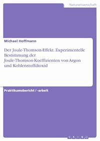 Der Joule-Thomson-Effekt. Experimentelle Bestimmung der Joule-Thomson-Koeffizienten von Argon und Kohlenstoffdioxid - Michael Hoffmann - E-Book