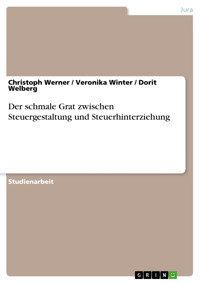 Der schmale Grat zwischen Steuergestaltung und Steuerhinterziehung - Christoph Werner - E-Book