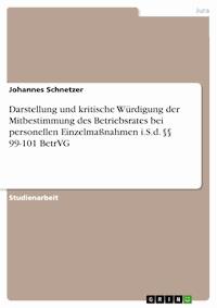 Darstellung und kritische Würdigung der Mitbestimmung des Betriebsrates bei personellen Einzelmaßnahmen i.S.d. §§ 99-101 BetrVG - Johannes Schnetzer - E-Book