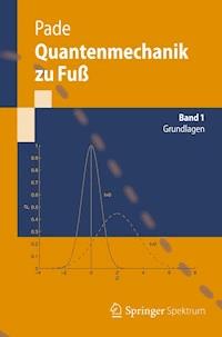 Quantenmechanik zu Fuß 1 - Jochen Pade - E-Book