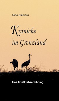 Kraniche im Grenzland - Ilona Clemens - E-Book