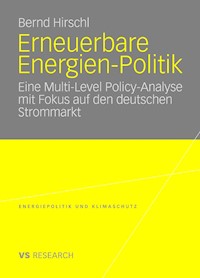 Erneuerbare Energien-Politik - Bernd Hirschl - E-Book