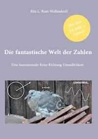 Die fantastische Welt der Zahlen - Rita L. Ront-Wallendorff - E-Book