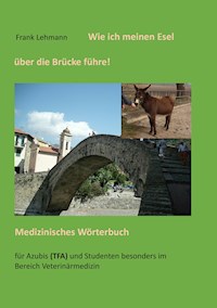 Wie ich meinen Esel über die Brücke führe - Frank Lehmann - E-Book