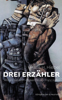 Drei Erzähler - Hans H. Hiebel - E-Book