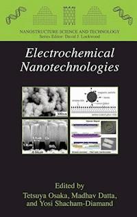 Electrochemical Nanotechnologies - - E-Book
