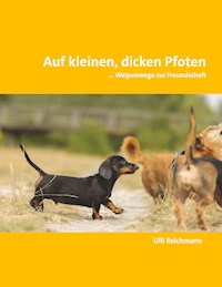 Auf kleinen, dicken Pfoten - Ulli Reichmann - E-Book