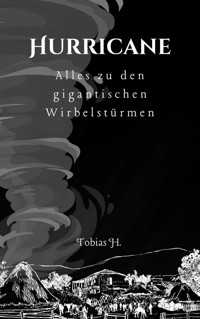 Hurricane - alles zu den gigantischen Wirbelstürmen - Tobias Hopfmüller - E-Book