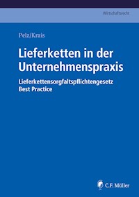 Lieferketten in der Unternehmenspraxis - Christian Pelz - E-Book