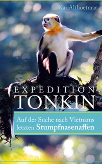 Expedition Tonkin - Kai Althoetmar - E-Book