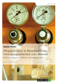 Pflegekammern in Rheinland-Pfalz. Versorgungssicherheit oder Illusion? - Daniel Böhm - E-Book