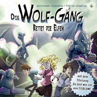 06: Rettet die Elfen - Katrin Wiegand - Hörbuch