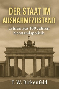 Der Staat im Ausnahmezustand – Lehren aus 100 Jahren Notstandspolitik - Tilman W. Birkenfeld - E-Book