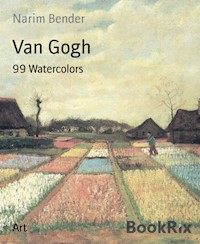 Van Gogh - Narim Bender - E-Book