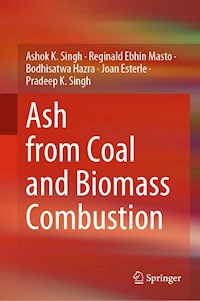 Ash from Coal and Biomass Combustion - Ashok K. Singh - E-Book