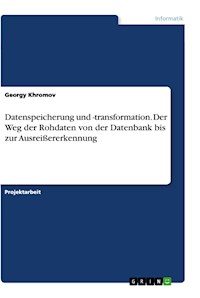 Datenspeicherung und -transformation. Der Weg der Rohdaten von der Datenbank bis zur Ausreißererkennung - Georgy Khromov - E-Book