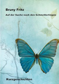 Auf der Suche nach den Schmetterlingen - Bruny Fritz - E-Book