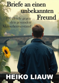 Briefe an einen unbekannten Freund Teil 5 - Heiko Liauw - E-Book