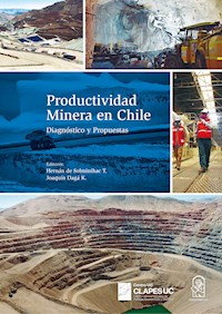 Productividad Minera en Chile - Joaquín Daga K. - E-Book
