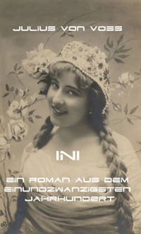 Ini - Ein Roman aus dem 21sten Jahhundert - Erik Schreiber - E-Book