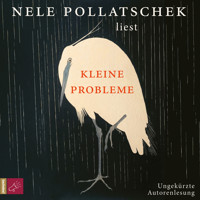 Kleine Probleme (Ungekürzt) - Nele Pollatschek - Hörbuch