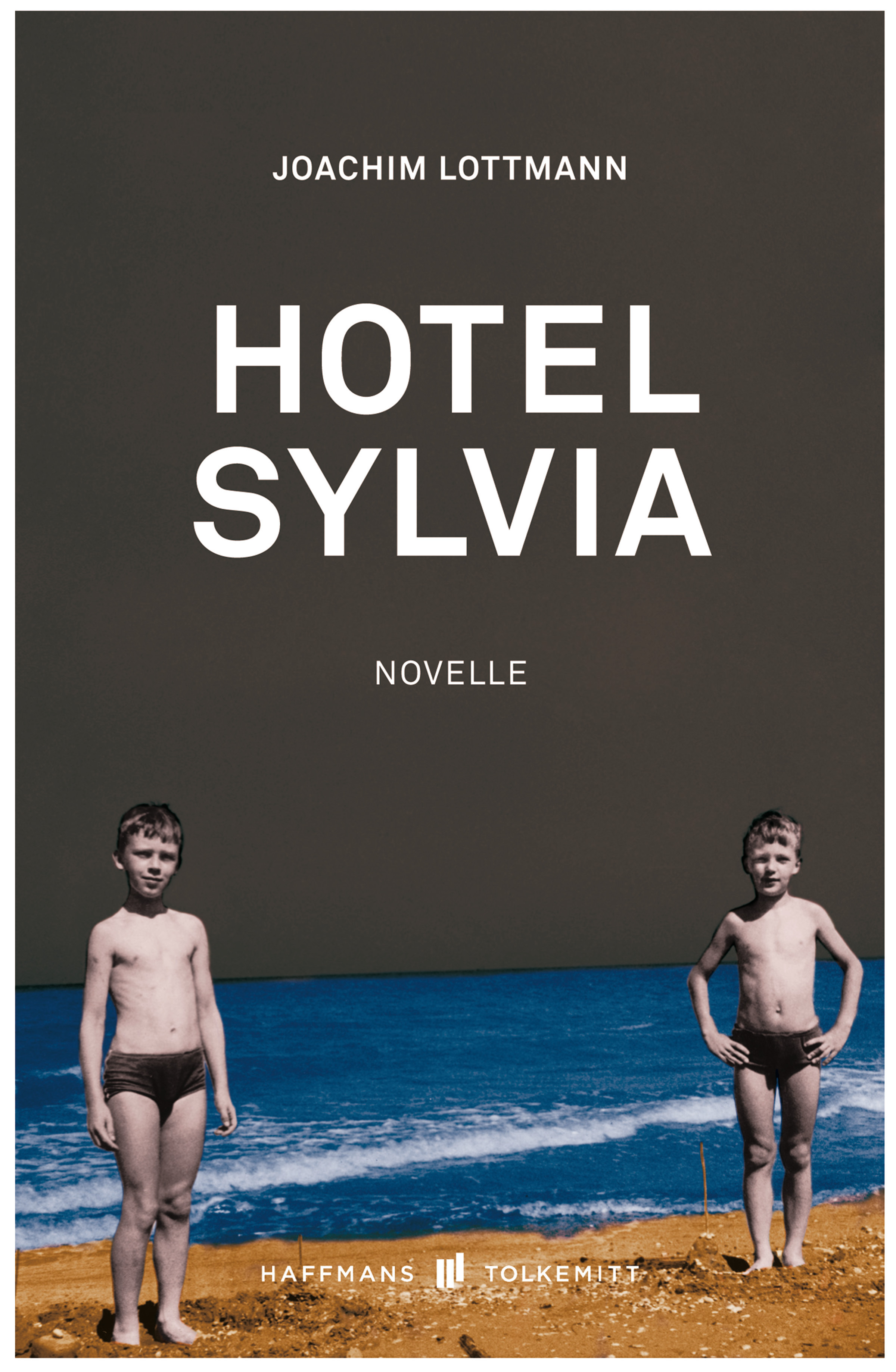 Hotel Sylvia - Joachim Lottmann - E-Book