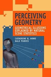 Perceiving Geometry - Catherine Q. Howe - E-Book