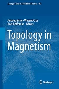 Topology in Magnetism - - E-Book