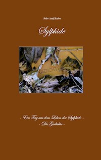 Sylphide - Arnulf Kruber - E-Book