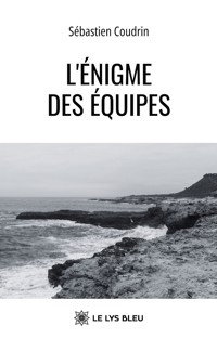 L’énigme des équipes - Sébastien Coudrin - E-Book