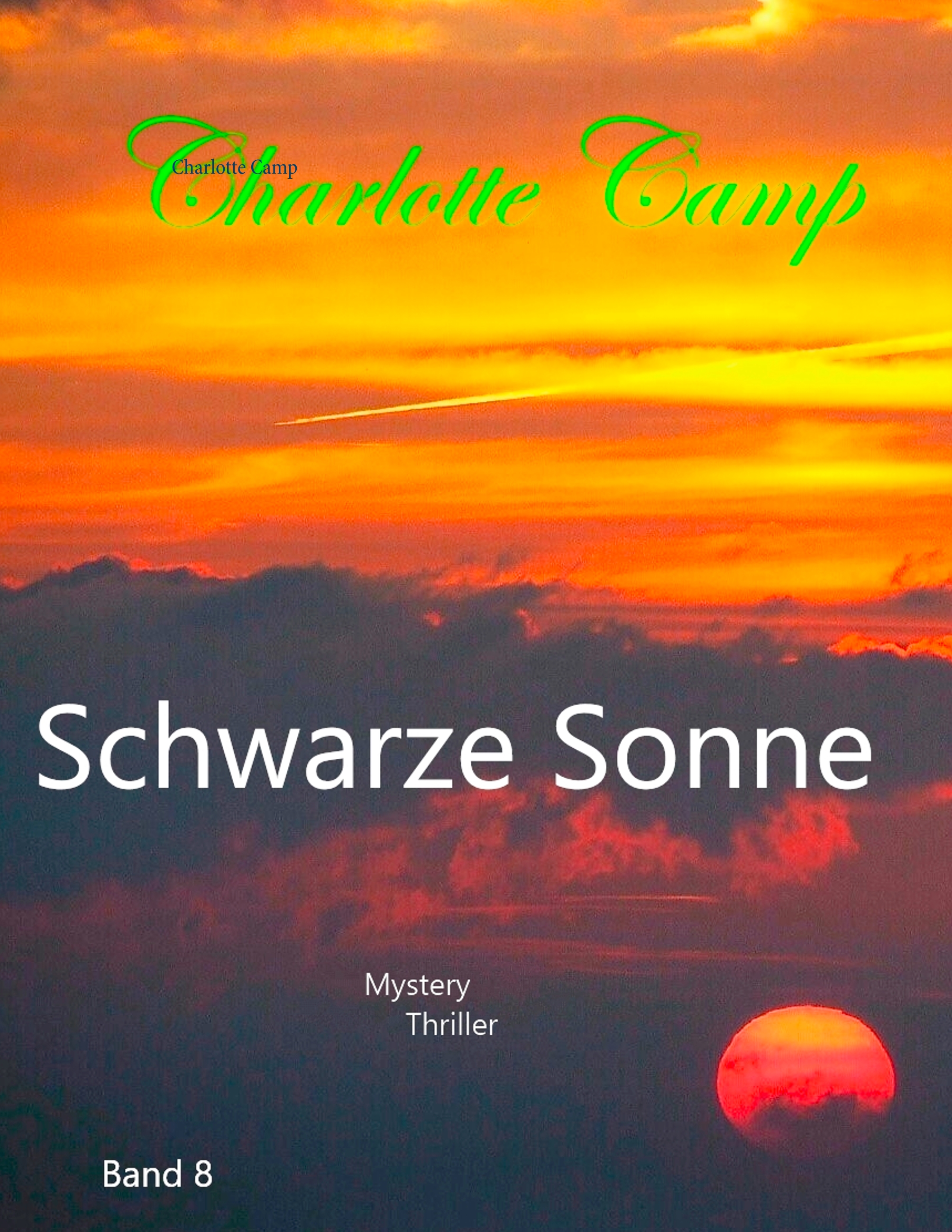Schwarze Sonne - Charlotte Camp - E-Book