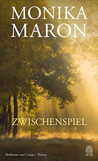 Zwischenspiel - Monika Maron - E-Book