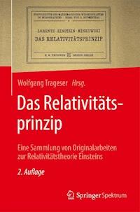 Das Relativitätsprinzip -  - E-Book