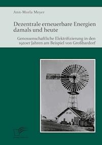 Dezentrale erneuerbare Energien damals und heute. Genossenschaftliche Elektrifizierung in den 1920er Jahren am Beispiel von Großbardorf - Ann-Morla Meyer - E-Book