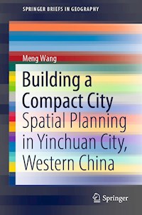 Building a Compact City - Meng Wang - E-Book