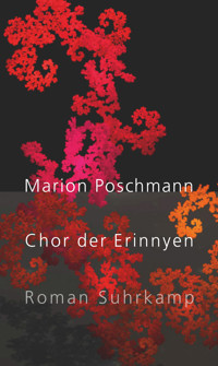 Chor der Erinnyen - Marion Poschmann - E-Book