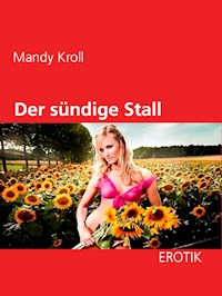 Der sündige Stall - Mandy Kroll - E-Book