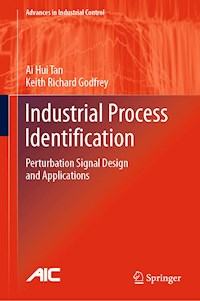 Industrial Process Identification - Ai Hui Tan - E-Book