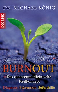 Burnout - Michael Dr. König - E-Book