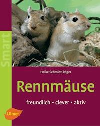 Rennmäuse - Heike Schmidt-Röger - E-Book