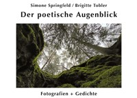 Der poetische Augenblick - Simone Springfeld - E-Book