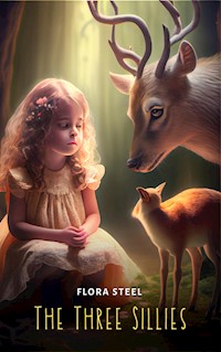 The Three Sillies - Flora Steel - E-Book