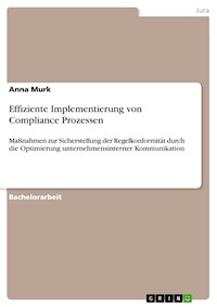 Effiziente Implementierung von Compliance Prozessen - Anna Murk - E-Book