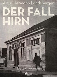 Der Fall Hirn - Artur Hermann Landsberger - E-Book